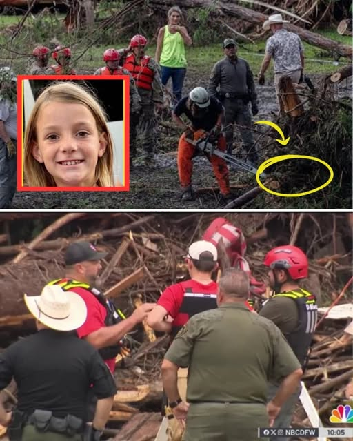 528302521_122141710196785543_5404005410976209300_n_cleanup