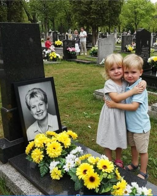 515487738_606912092475874_2236655722946768816_n_cleanup