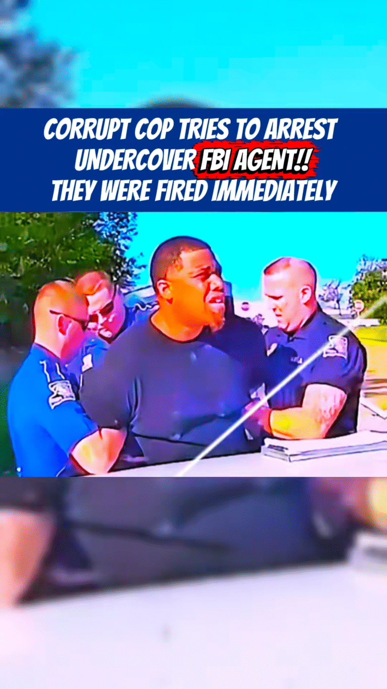 SnapTik-dot-Kim-9f80a5fe2c8613dc56b3839214fae942.01_02_50_16.Still057-1