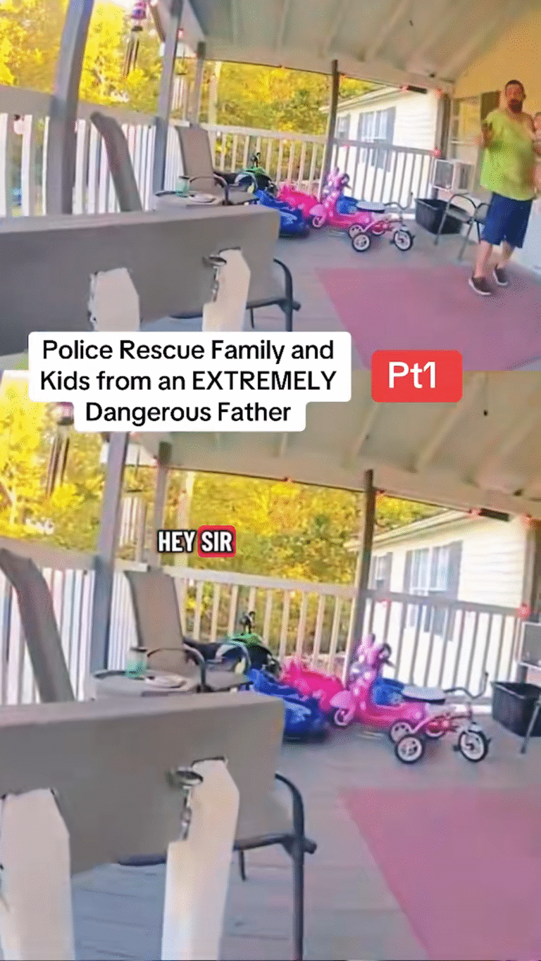 SnapTik-dot-Kim-9b08a960fbc446981e43624a330f7f8d.00_00_08_01.Still001